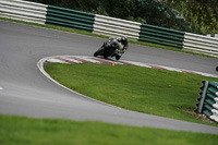 cadwell-no-limits-trackday;cadwell-park;cadwell-park-photographs;cadwell-trackday-photographs;enduro-digital-images;event-digital-images;eventdigitalimages;no-limits-trackdays;peter-wileman-photography;racing-digital-images;snetterton;snetterton-no-limits-trackday;snetterton-photographs;snetterton-trackday-photographs;trackday-digital-images;trackday-photos